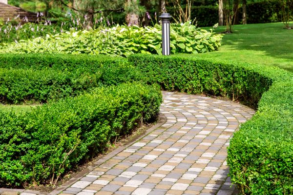 Paved Landscaping in Mason