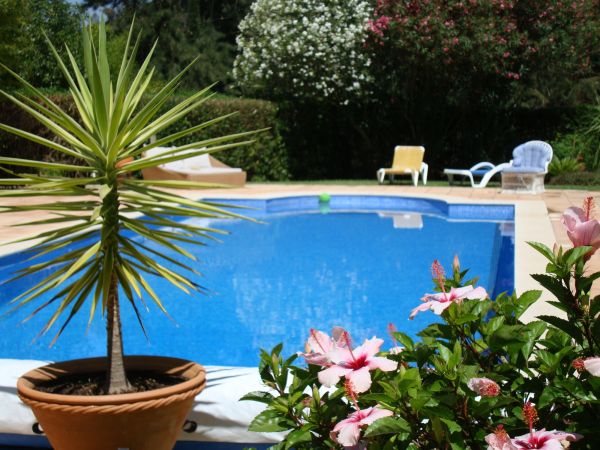 Pool Terrace Renovation in Mason