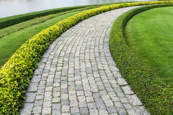 Sidewalk Pavers Installation in Mason